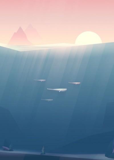 安南笙陸晏州佚名封面