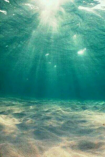 溫知黎顧子初封面