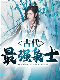 林云鳳陽王小說封面