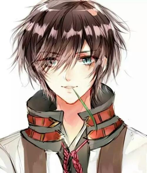 相親不見面,我把豪門繼承人拉黑了小說封面