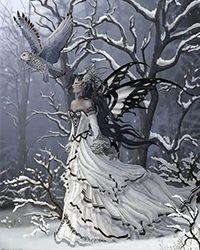 葬神樹(shù)封面