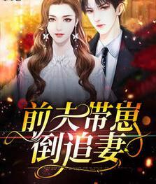 前夫帶崽倒追妻封面