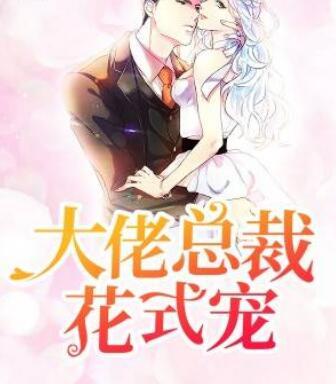大佬總裁花式寵封面